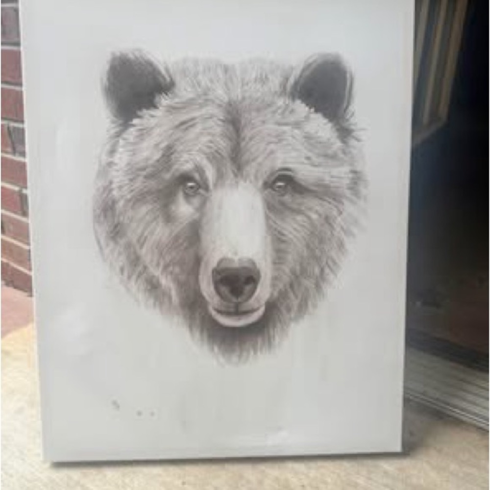 Bear Portrait Canvas Art